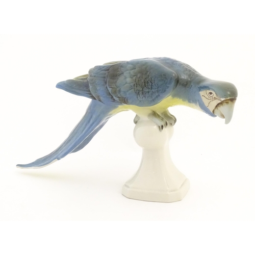 165 - A Royal Dux model of a Macaw bird / Parrot with blue, green and yellow feathers perched on a finial.... 