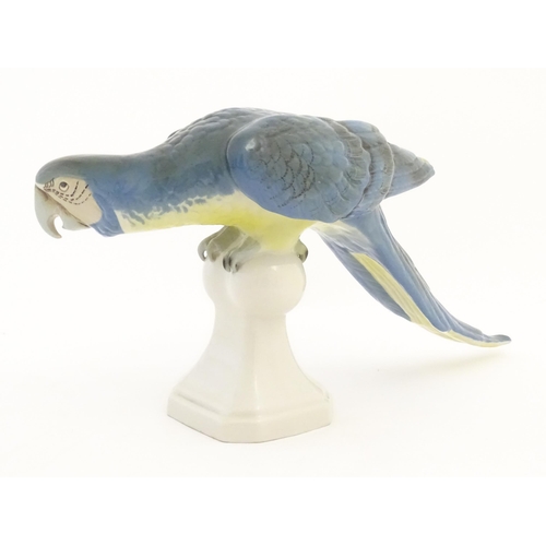 165 - A Royal Dux model of a Macaw bird / Parrot with blue, green and yellow feathers perched on a finial.... 