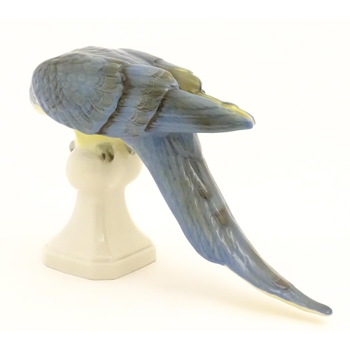 165 - A Royal Dux model of a Macaw bird / Parrot with blue, green and yellow feathers perched on a finial.... 