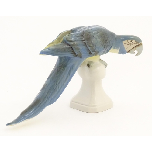 165 - A Royal Dux model of a Macaw bird / Parrot with blue, green and yellow feathers perched on a finial.... 