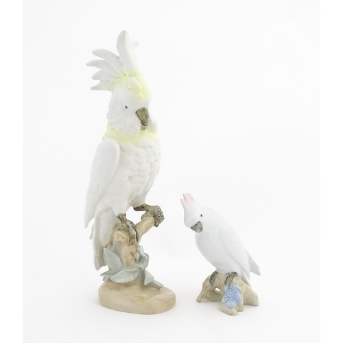 167 - Two Royal Dux models of birds, comprising a large Cockatoo bird with yellow and white feathers perch... 