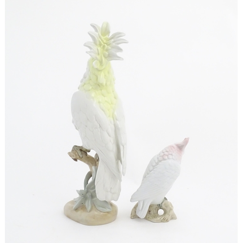 167 - Two Royal Dux models of birds, comprising a large Cockatoo bird with yellow and white feathers perch... 