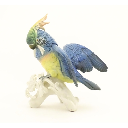 168 - A Karl Ens model of a Parrot / Cockatoo perched on a branch. Marked under. Approx. 9