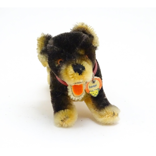 1450 - Toy: A 20thC Steiff mohair soft toy modelled as a Dachshund dog - Lumpi, with stitched nose, felt to... 