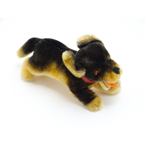 1450 - Toy: A 20thC Steiff mohair soft toy modelled as a Dachshund dog - Lumpi, with stitched nose, felt to... 