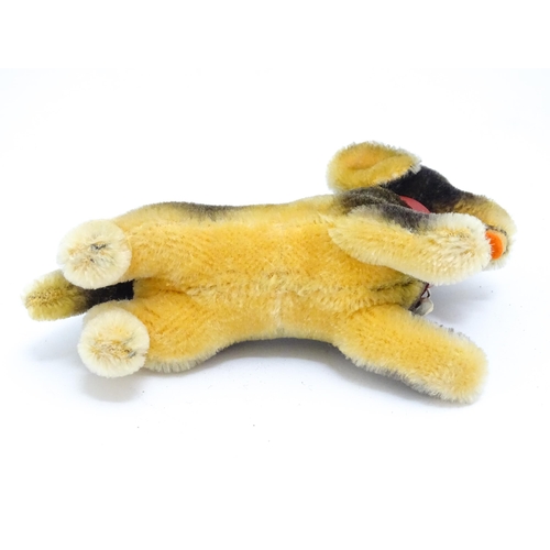 1450 - Toy: A 20thC Steiff mohair soft toy modelled as a Dachshund dog - Lumpi, with stitched nose, felt to... 