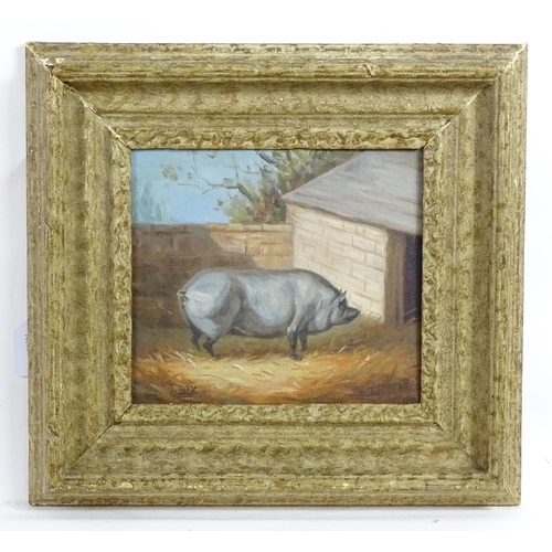 1866 - J. Box, 20th century, Oil on canvas laid on board, A portrait of a prize pig in a sty. Signed lower.... 