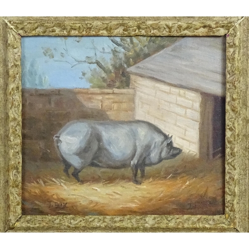 1866 - J. Box, 20th century, Oil on canvas laid on board, A portrait of a prize pig in a sty. Signed lower.... 