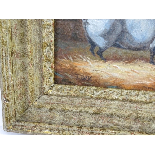 1866 - J. Box, 20th century, Oil on canvas laid on board, A portrait of a prize pig in a sty. Signed lower.... 