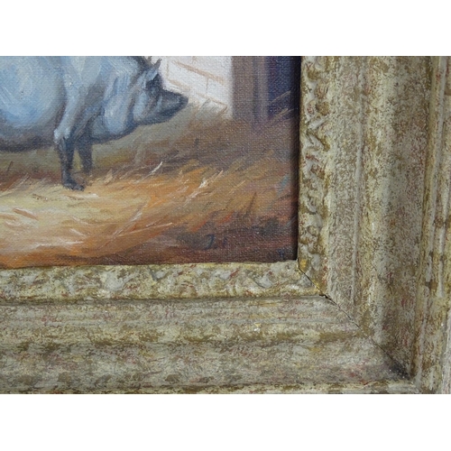 1866 - J. Box, 20th century, Oil on canvas laid on board, A portrait of a prize pig in a sty. Signed lower.... 