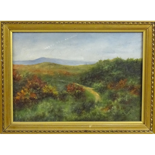 1879 - J. Sharp, Early 20th century, Oil on canvas, A Highland path. Signed and dated 1916 lower right. App... 