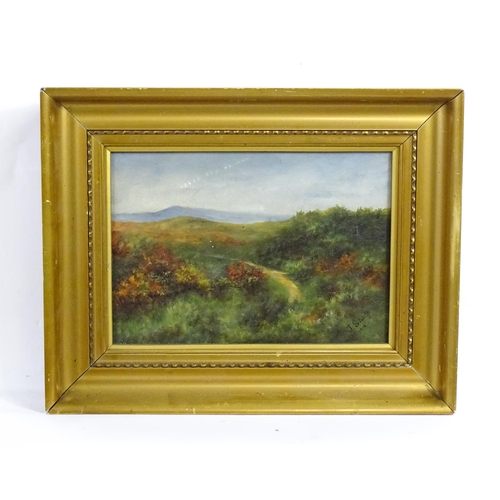 1879 - J. Sharp, Early 20th century, Oil on canvas, A Highland path. Signed and dated 1916 lower right. App... 