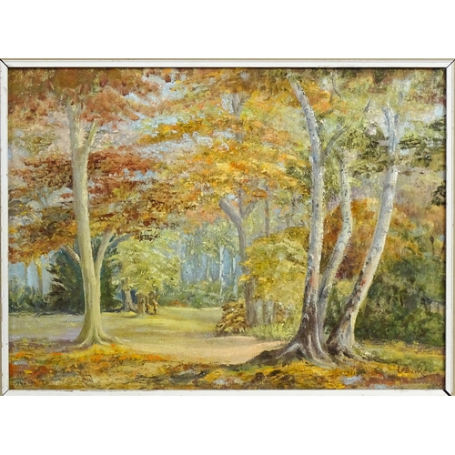 1882 - Eileen P. Burke, 20th century, Oil on canvas board, Autumn in Epping Forest. Signed lower right and ... 