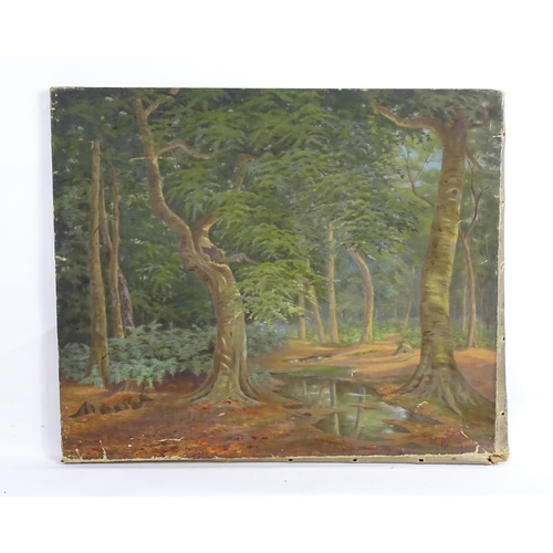 1888 - Mary Hennell, Early 20th century, Oil on canvas, Beech Wood, Beaconsfield, A woodland landscape. Sig... 