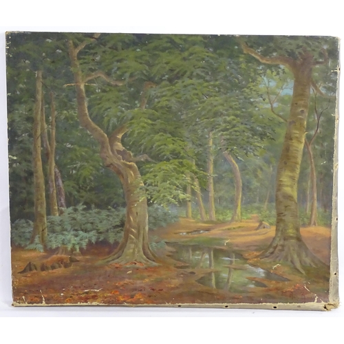 1888 - Mary Hennell, Early 20th century, Oil on canvas, Beech Wood, Beaconsfield, A woodland landscape. Sig... 