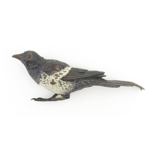 1110 - An early 20thC Franz Bergman cold painted bronze model of a magpie. Stamped with Bergman monogram an... 