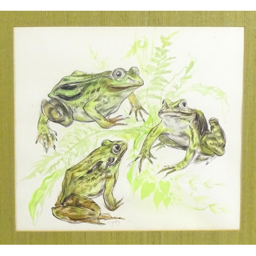 1925 - G. T. Barlow, 20th century, Watercolour, A study of three bull frogs. Signed with initials lower and... 