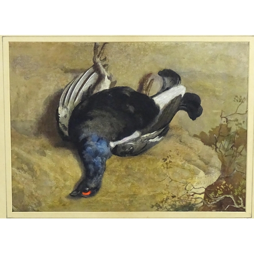 1933 - Archibald Thorburn (1860-1935), Watercolour, Black Grouse, A study of a game bird after the shoot. S... 