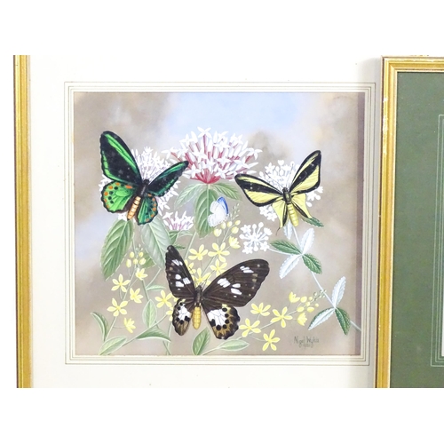 1941 - Nigel Wykes (1906-1991), Watercolour and gouache, A pair of flower and butterfly studies. Both signe... 