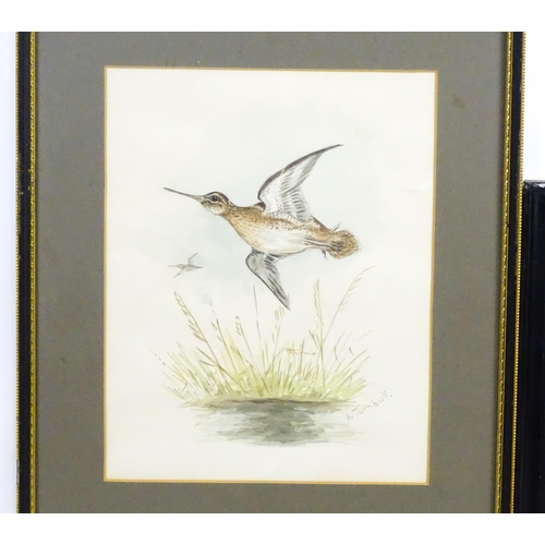 1951 - Early 20th century, Watercolour, A study of a kingfisher in flight with a fish in its beak. Signed w... 