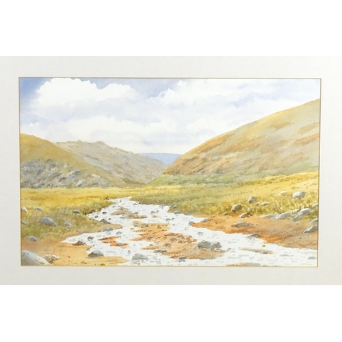 1976 - Sandy Lines, 20th century, Watercolour, A Highland river landscape with a stream. Signed lower left.... 