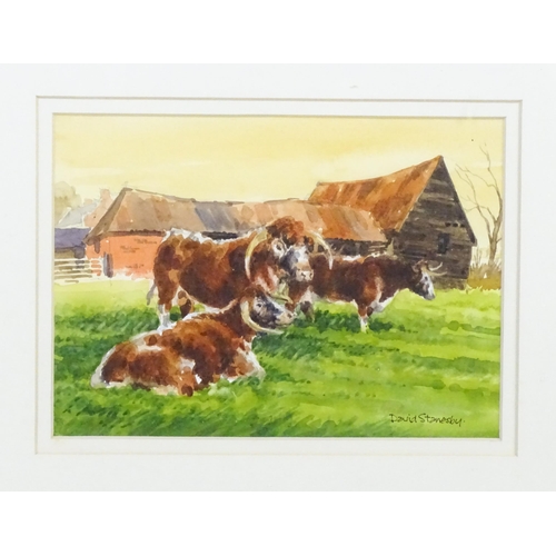 1990 - David Stanesby (1940-2007), Watercolour, Three long horned cattle in field with barn beyond. Signed ... 