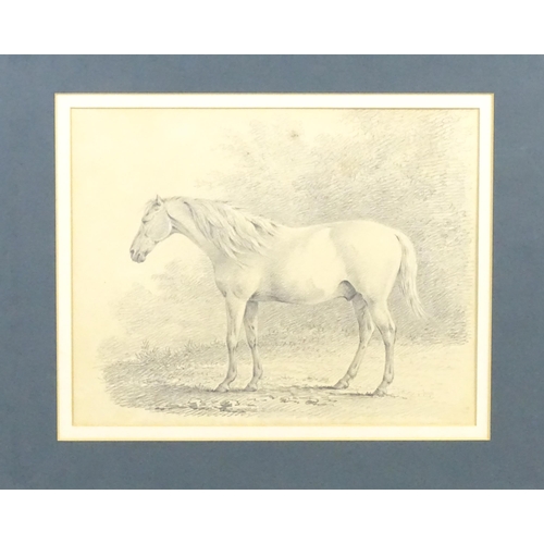 2008 - 19th century, Pencil drawing, A study of a horse. Approx. 9 1/4