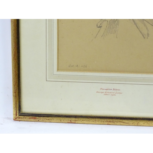 2009 - Manner of George Edward Lodge (1860-1954), Pencil on paper, Peregrine Falcon. Dated 1935 lower left ... 