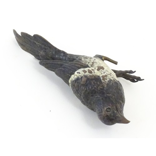 1110 - An early 20thC Franz Bergman cold painted bronze model of a magpie. Stamped with Bergman monogram an... 