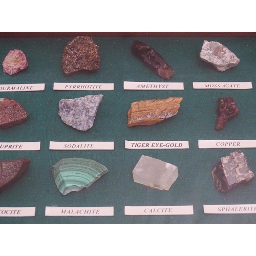 1179 - Geology / Natural History interest: A quantity of hardstone / mineral specimens within a shadow box ... 