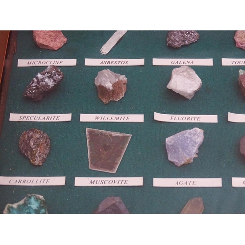 1179 - Geology / Natural History interest: A quantity of hardstone / mineral specimens within a shadow box ... 