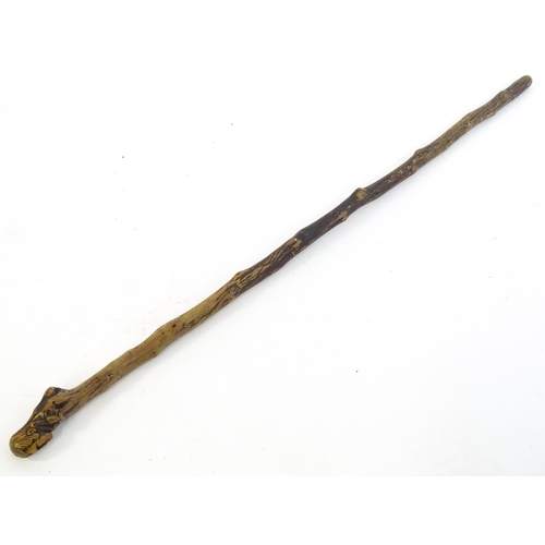 1410 - Stick / Cane : A waking stick with naïve folk art style carved handle formed as the head of the Scot... 