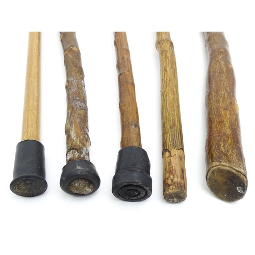 1412 - Sticks / canes : Five assorted walking / hiking sticks to include a beech example and another bearin... 