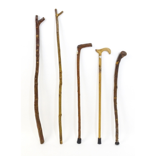 1412 - Sticks / canes : Five assorted walking / hiking sticks to include a beech example and another bearin... 