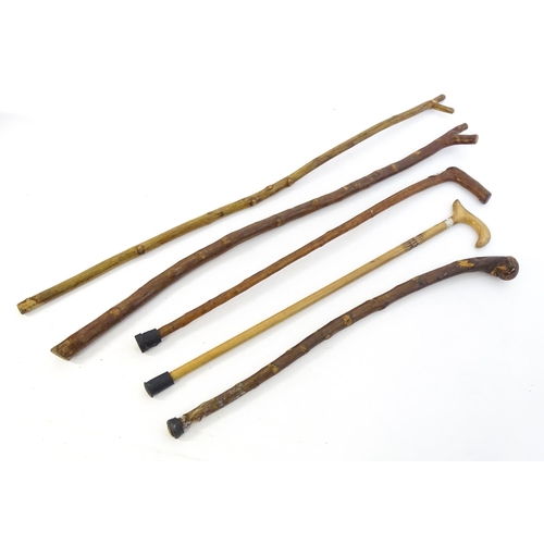 1412 - Sticks / canes : Five assorted walking / hiking sticks to include a beech example and another bearin... 