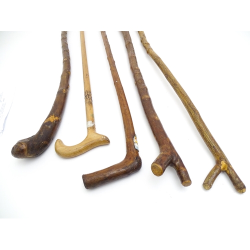 1412 - Sticks / canes : Five assorted walking / hiking sticks to include a beech example and another bearin... 