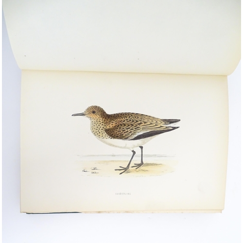 894 - Book: A History of British Birds, volume 4, by the Rev. F. O. Morris. Published by George Bell & Son... 