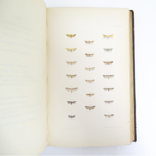 895 - Book: A Natural History of British Moths, volume 4, by the Rev. F. O. Morris. Published by Henry Edw... 