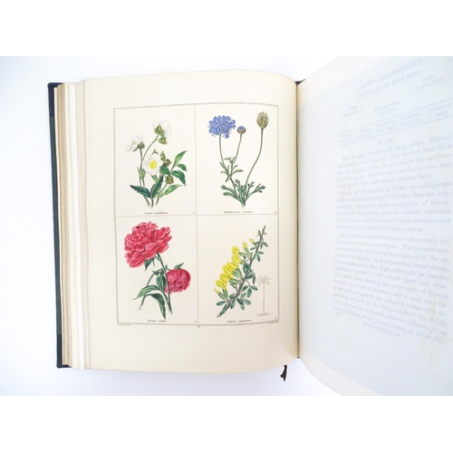 896 - Book: The Botanic Garden, volume 5, by B. Maund. Published by Simpkin & Marshall, London 1834-5