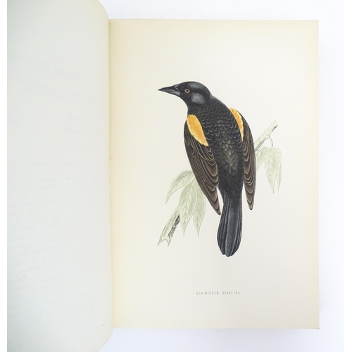 915 - Book: A History of British Birds, volume 3, by the Rev. F. O. Morris. Published by George Bell & Son... 