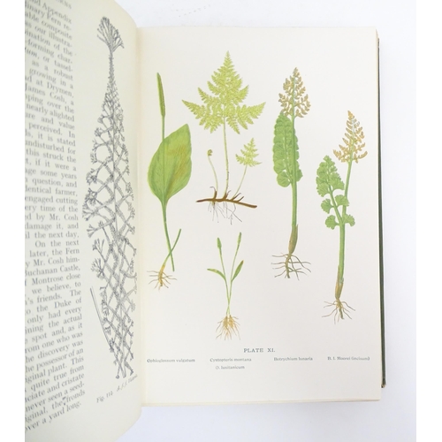 916 - Book: British Ferns and their Varieties, by Charles T. Druery. Published by George Routledge & Sons,... 