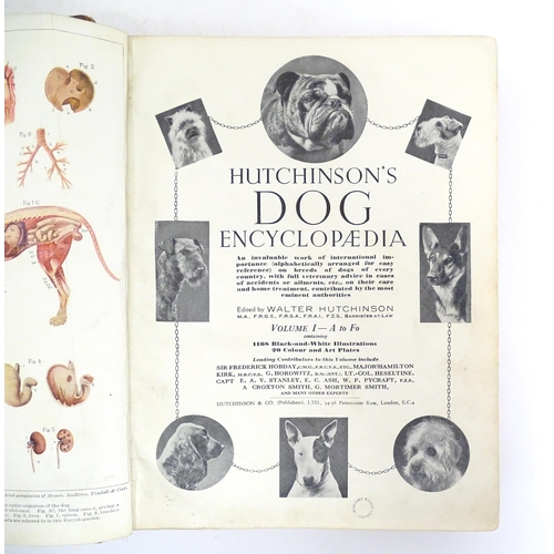 965 - Books: Four assorted books comprising Hutchinson's Dog Encyclopaedia, volume 1, edited by Walter Hut... 