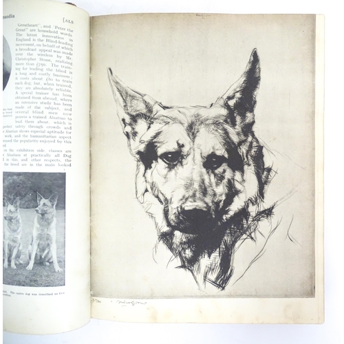 965 - Books: Four assorted books comprising Hutchinson's Dog Encyclopaedia, volume 1, edited by Walter Hut... 