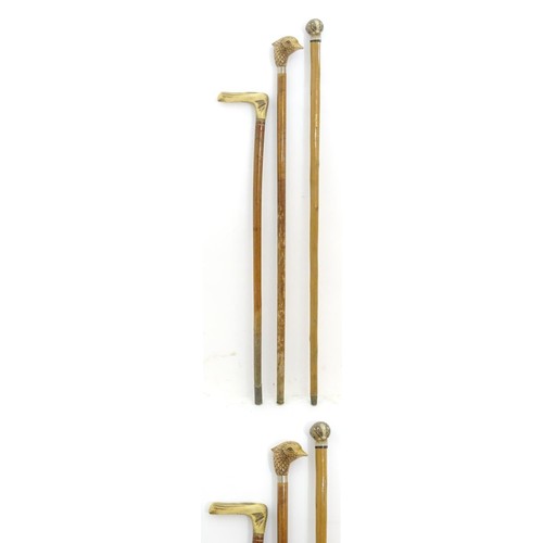 45 - Three late 20thC sticks / canes, comprising an antler handled example, one with a handle formed as a... 