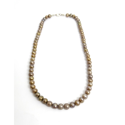 496 - A necklace of brown pearls. approx 15