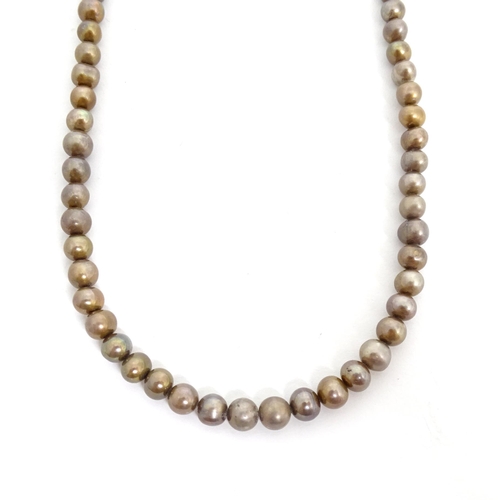 496 - A necklace of brown pearls. approx 15