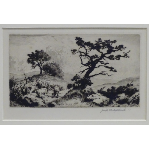 519 - Six assorted etchings to include Galloway Oaks by Joseph Kirkpatrick (1872-1936) signed in pencil un... 