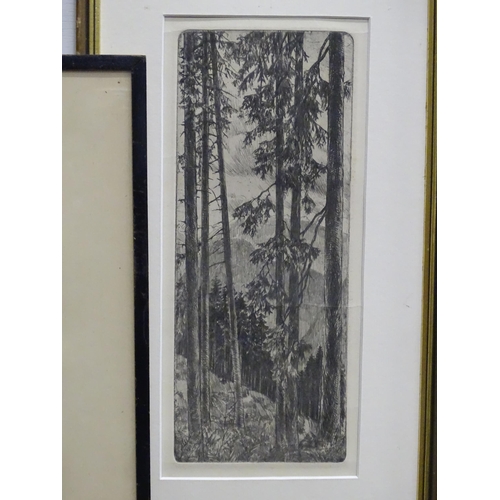 519 - Six assorted etchings to include Galloway Oaks by Joseph Kirkpatrick (1872-1936) signed in pencil un... 