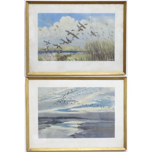 529 - After Sir Peter Markham Scott CH CBE DSC FRS FZS (1909-1989), two lithographs, Evening - Geese Flyin... 