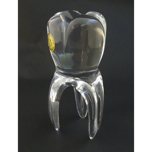 217 - An unusual glass model of a tooth bearing label for Cristallerie Portieux France. Approx 7